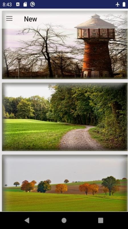 秋照壁纸AutumnPhotowallpaper图2