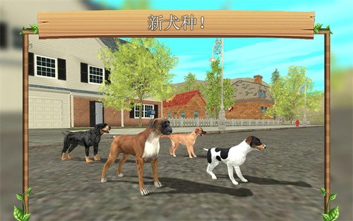 狗狗模拟器CaneCorsoDog3D图1