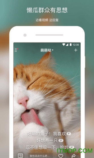 懒瓜实拍图2