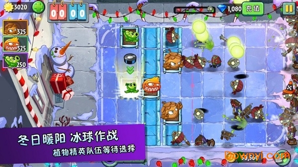 植物超进化图3