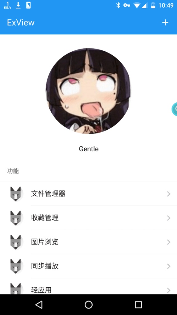 exview图1
