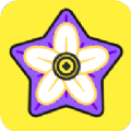 星辰花图标