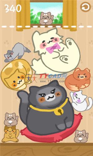 猫咪满屋图2
