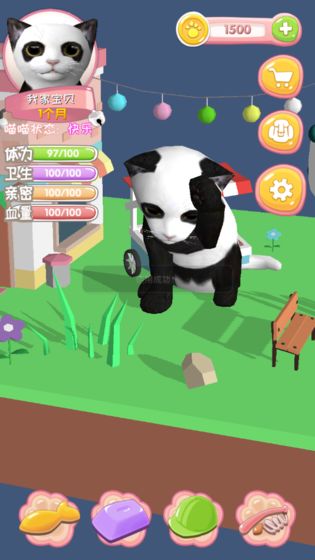 我家喵喵图3