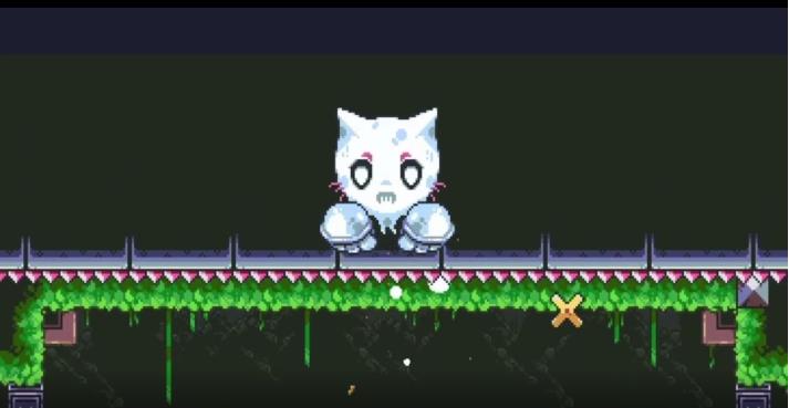 小猫死亡室图3