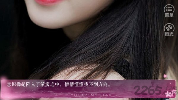 橙光exo重生之我爸是黑道老大无限鲜花版图4