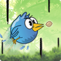 小鸟冲锋游戏
