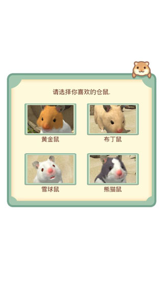 我的仓鼠图2