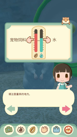 我的仓鼠图1