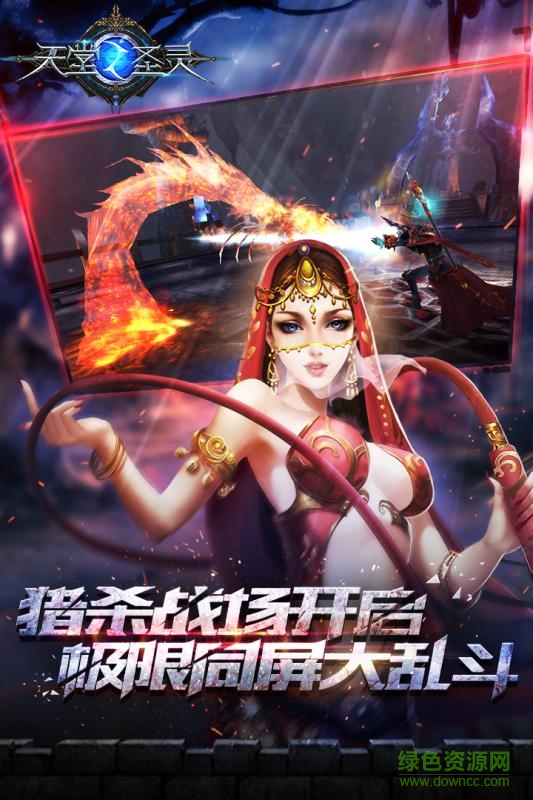 天堂之圣灵果盘版