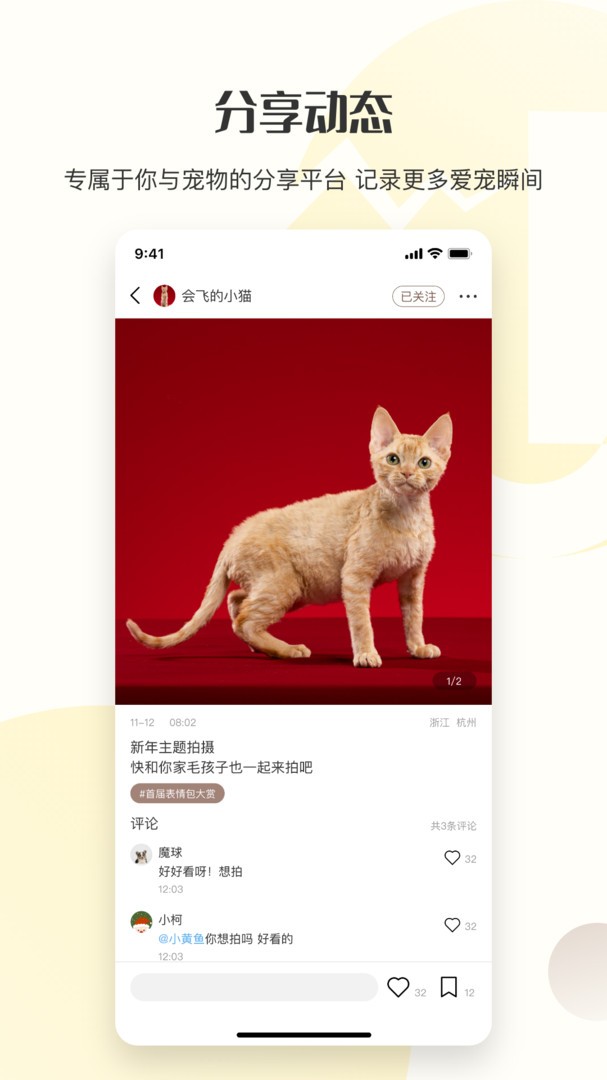 集宠区图4
