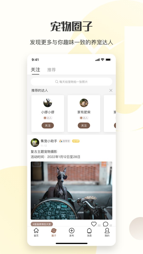 集宠区图3