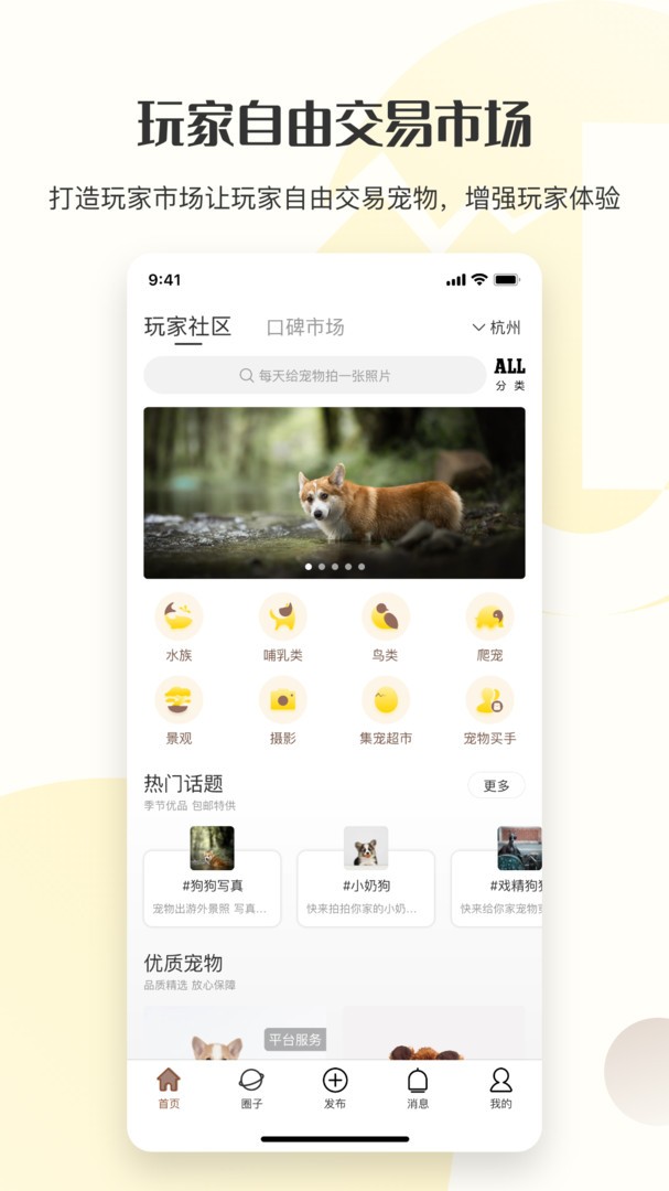 集宠区图2