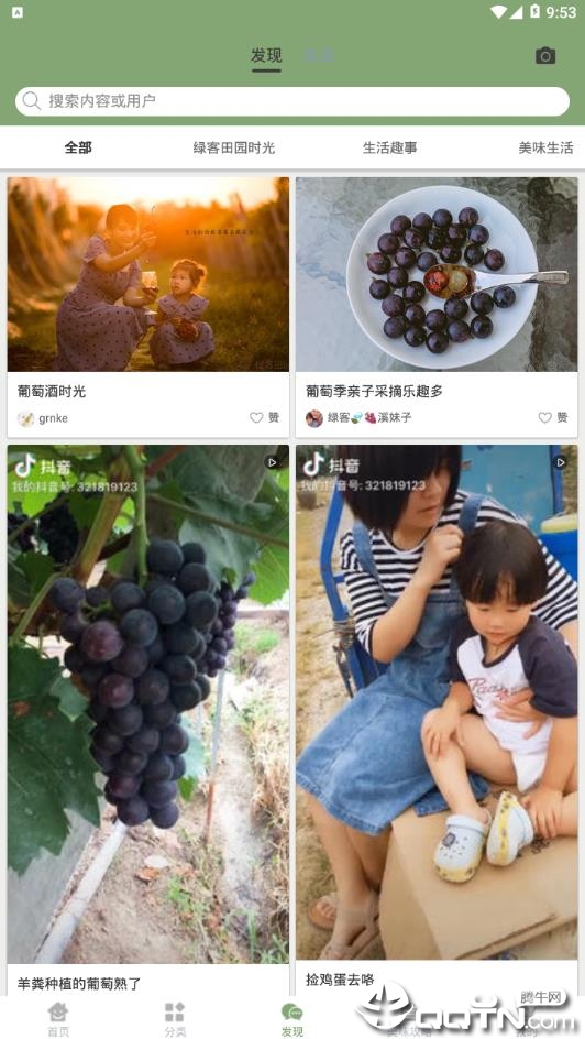 绿客田园图4