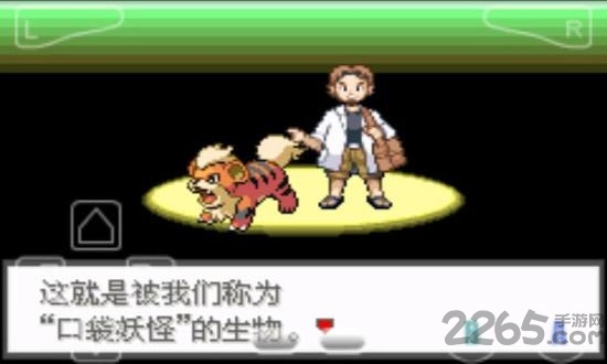 口袋妖怪时空战歌图2