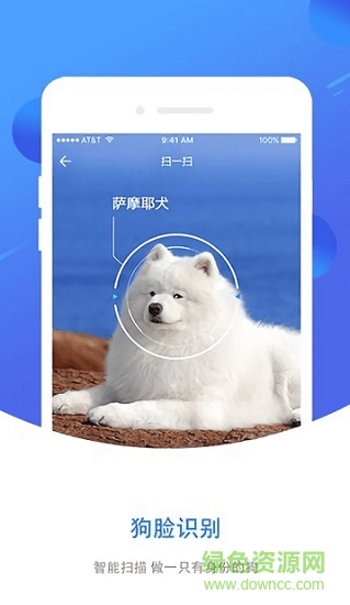 犬易图1