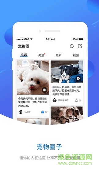 犬易图3