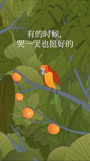 孤独的鸟儿图5
