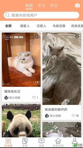 迷宠圈图3
