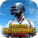 地铁逃生国际服正版(PUBG MOBILE)