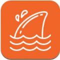 飞鲨壁纸app