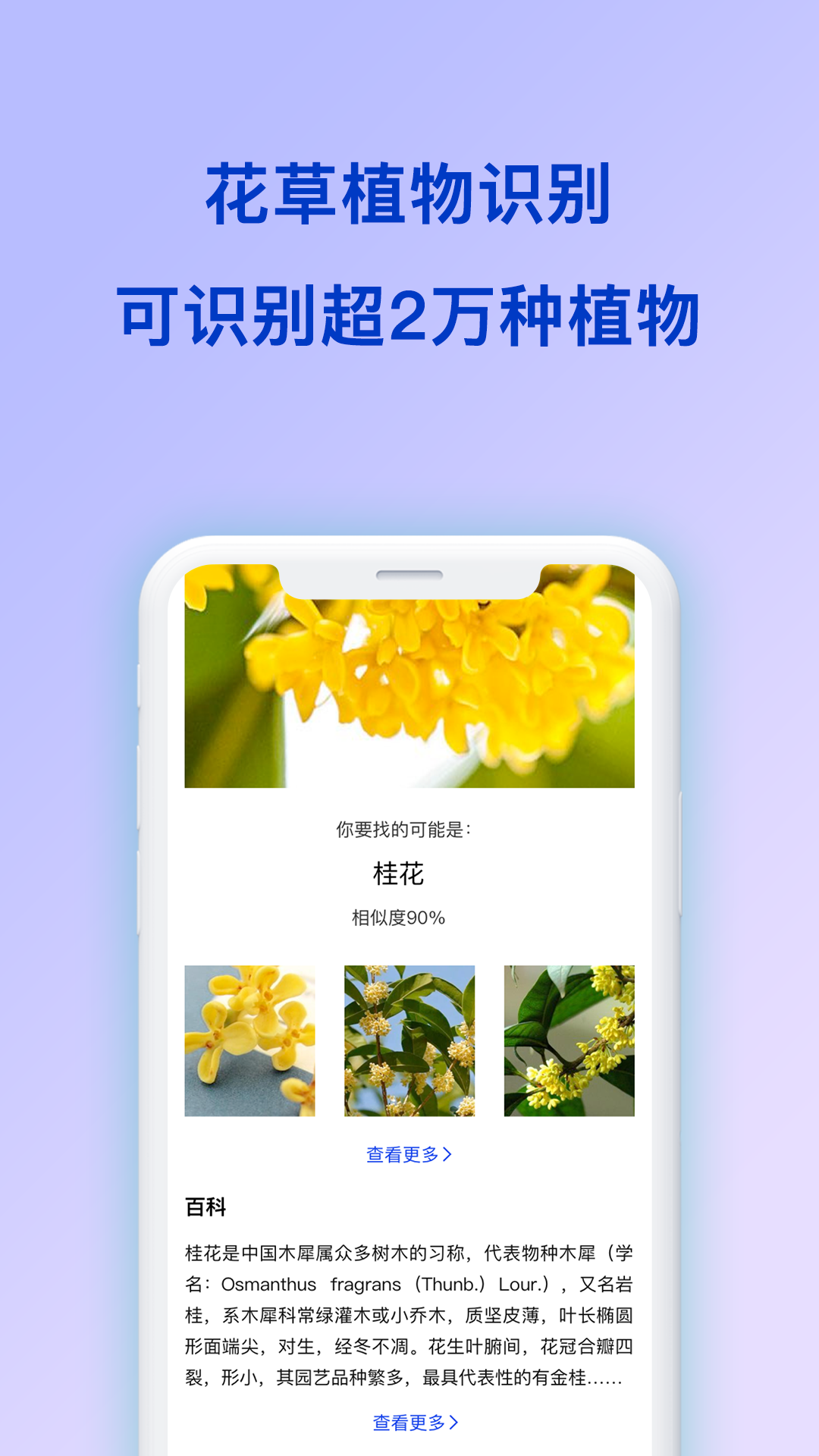 扫描识图