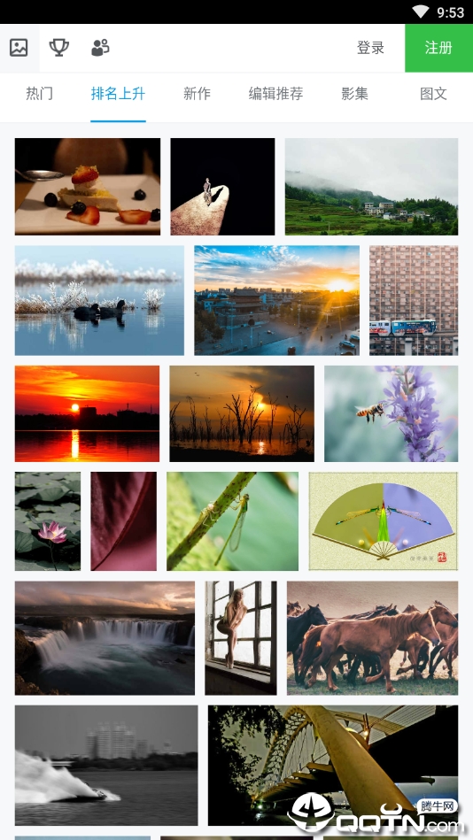 500像素图2