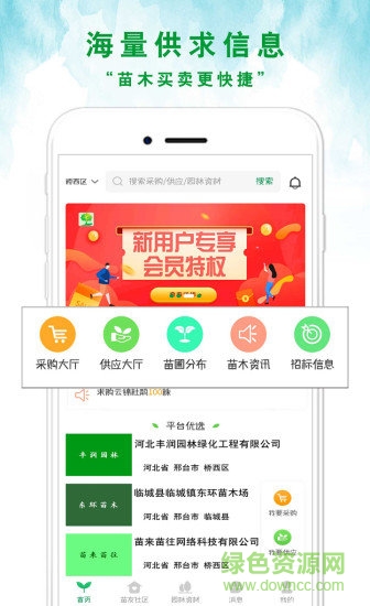 苗来苗往图3