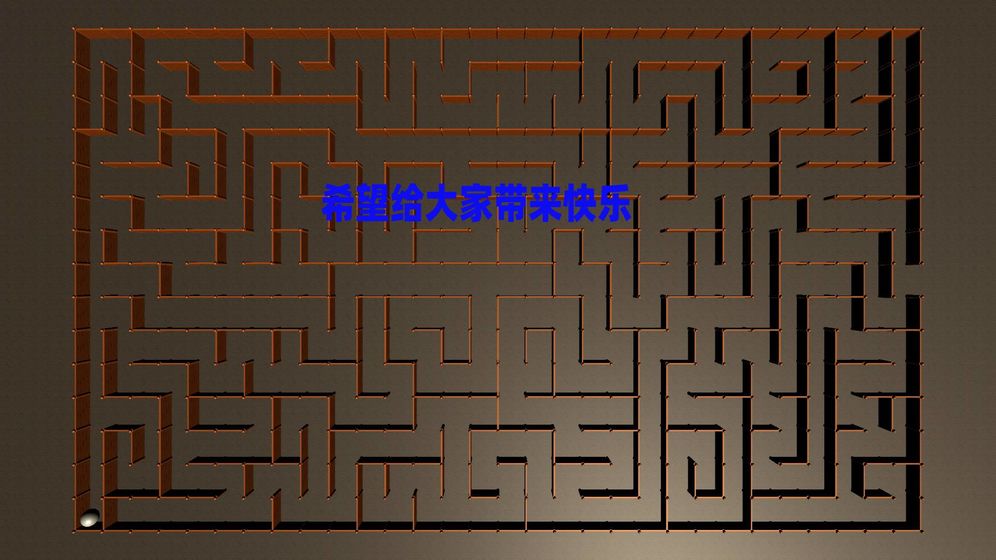 掌上迷宫图1