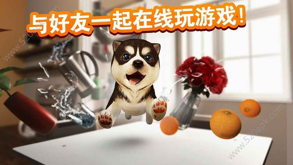 发现狗狗乐园中文版3.00图2
