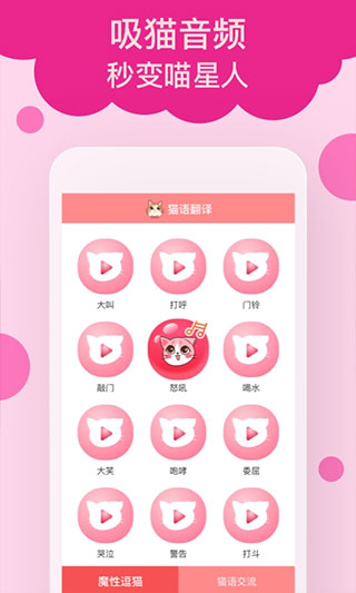 猫语翻译图4
