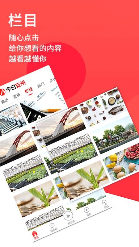 今日安州客户端图1