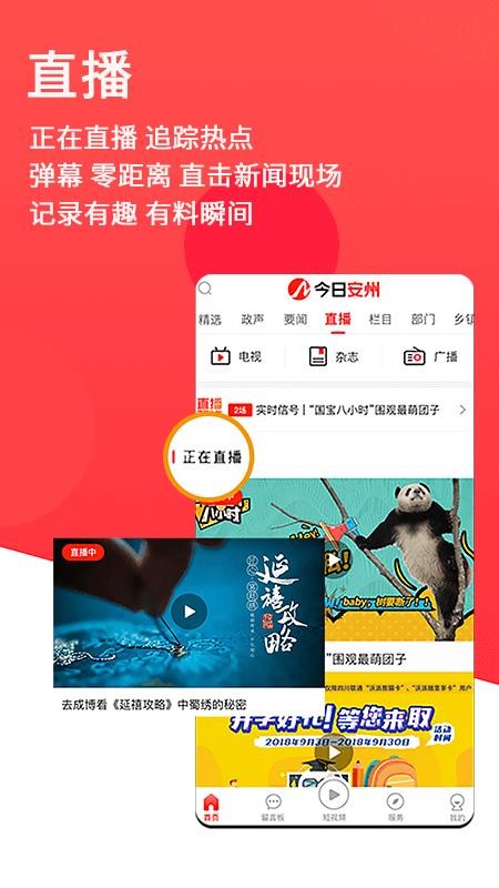 今日安州客户端图2