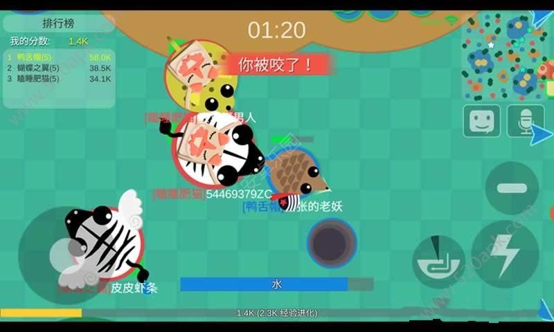 丛林大作战手游官方版正版游戏
