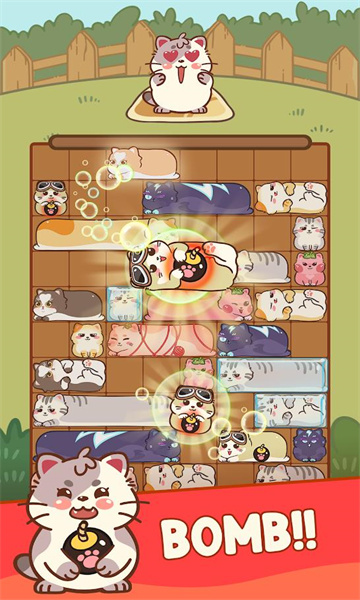 滑猫