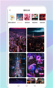 flex壁纸图2