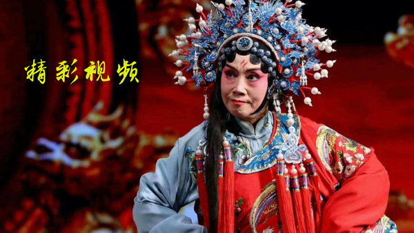 豫剧迷手机版图1
