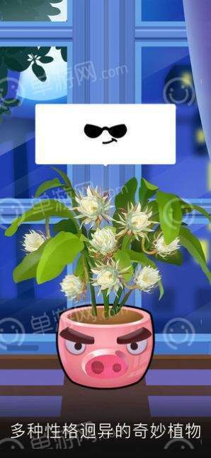 我的花园app图3