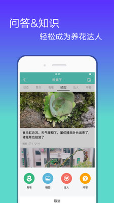 花信图3