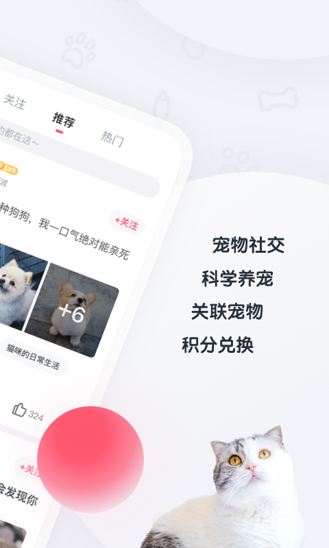 粉爪app安装官方版手机版图2