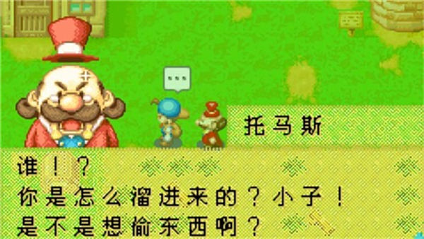 牧场物语矿石镇的伙伴们中文版2.0.0图3