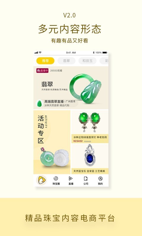 珠宝猫图1