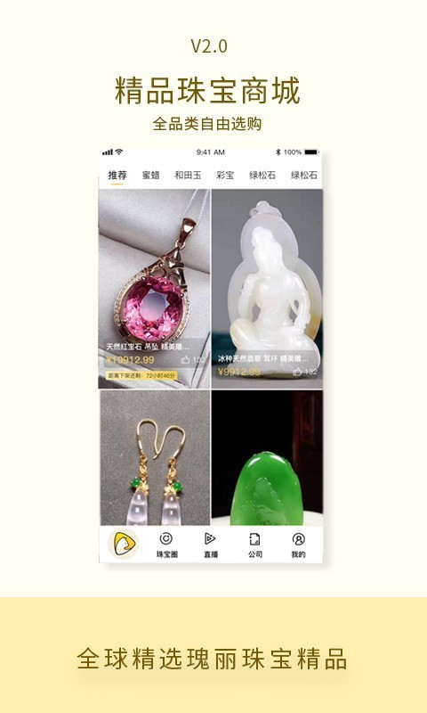 珠宝猫图3