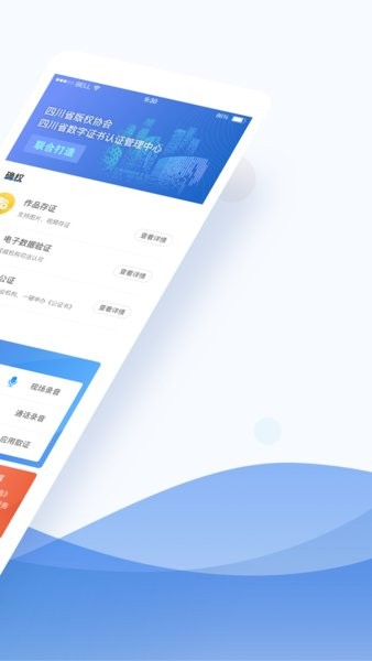 数字原创保护图1