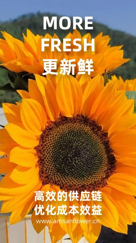 匠人花材手机版