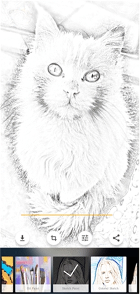 ArtPencilCamera图2