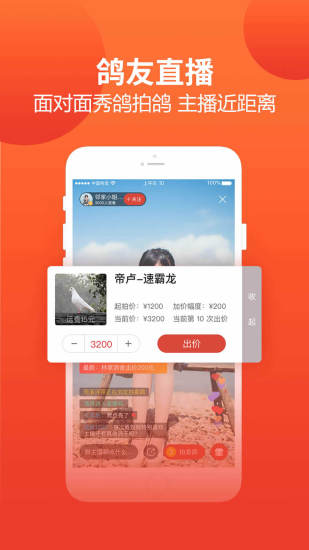 赛鸽头条app截图1