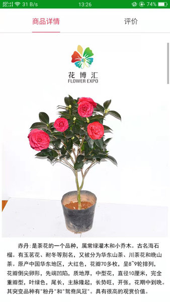 花博汇图3
