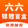 六六锦鲤盲盒图标