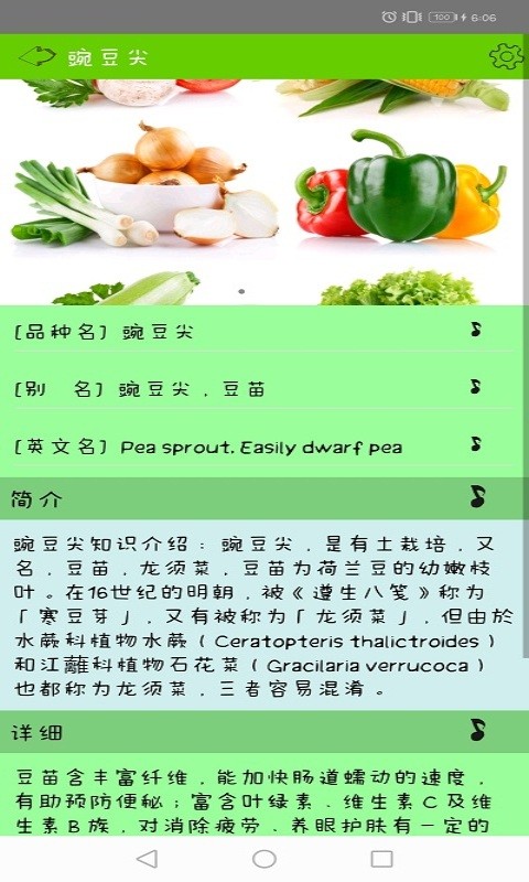 健康绿蔬图3